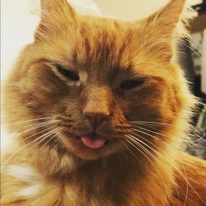 Meet your Posher, Jen